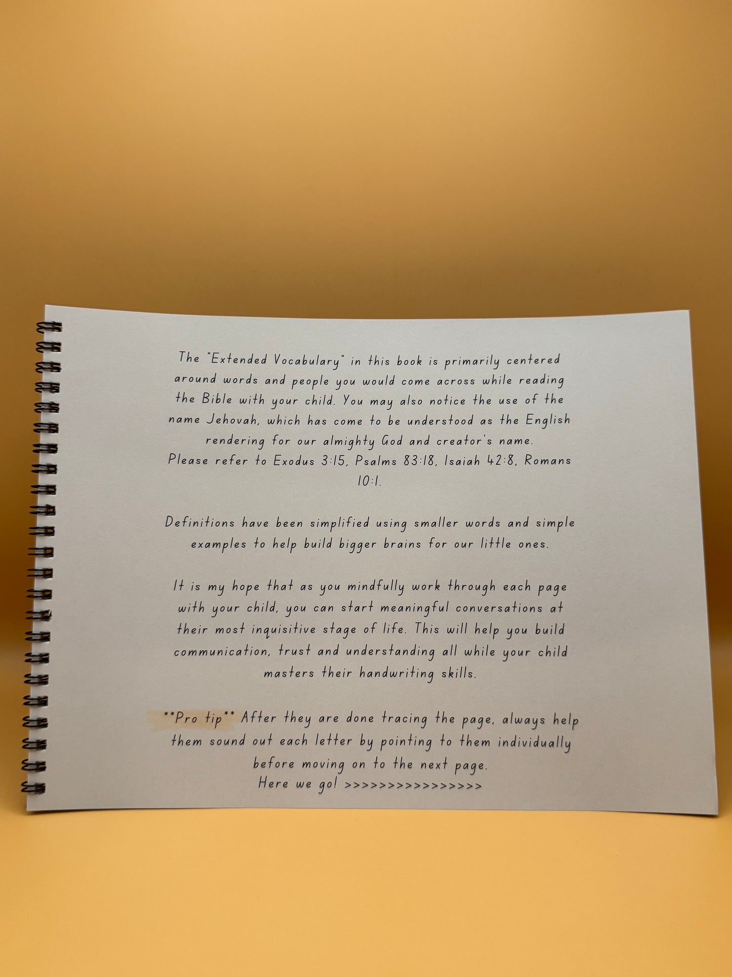 Alphabet Tracing Book