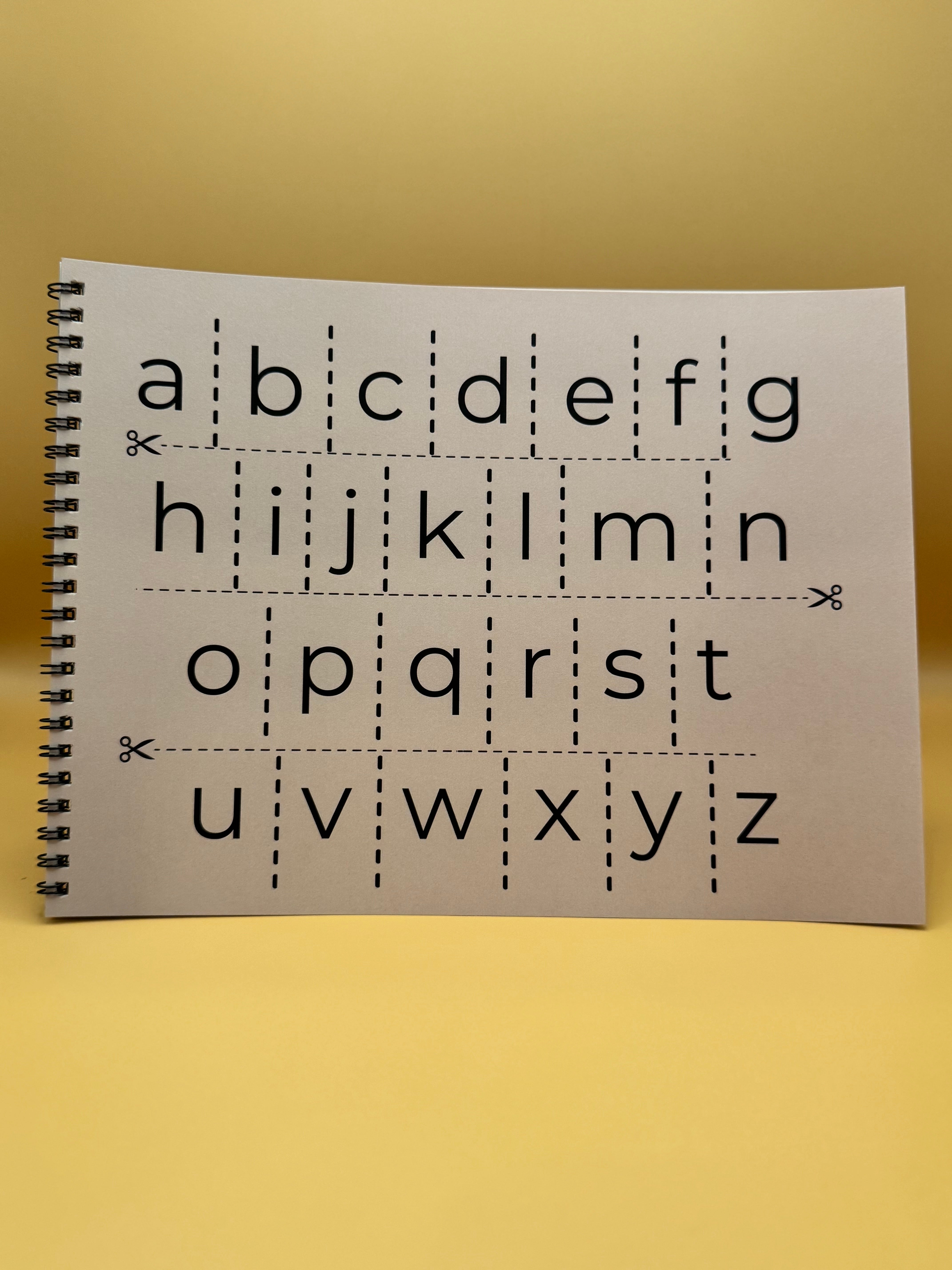 Alphabet Tracing Book