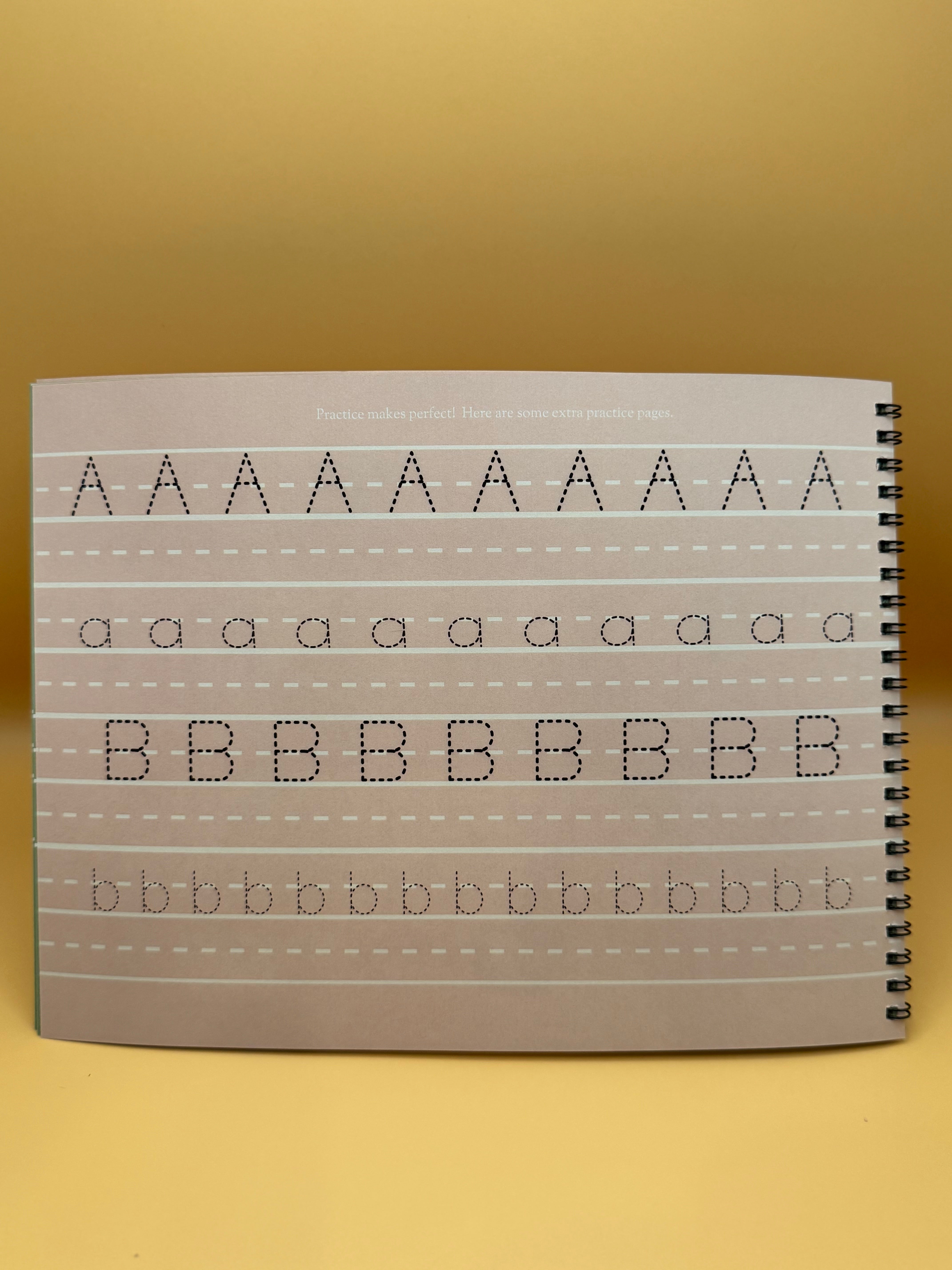 Alphabet Tracing Book