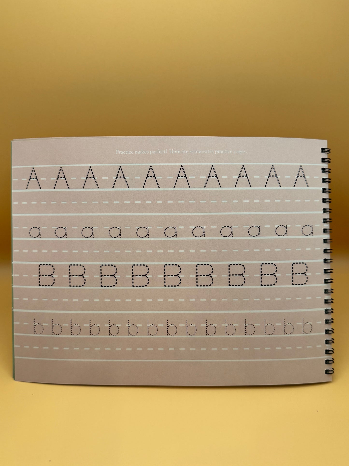 Alphabet Tracing Book